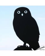 Schattenriss - Steinkauz