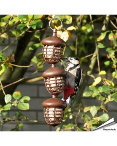 Meisenknödelspender Acorn für Gartenvögel | Futterstation