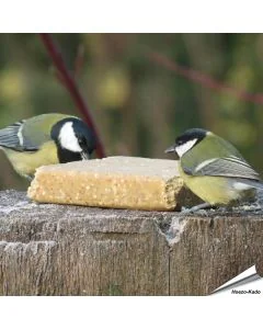 Vegetarischer Fettblock mit Erdnüssen ✔️ Keine tierischen Produkte - Rein pflanzlich ✔️ Ohne Palmöl ✔️ Nachhaltig, gesund und lecker ➤ Alles für Vögel