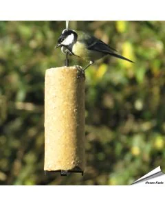 Vegetarische Energiekuchen von Aniculis für Wildvögel ✔️ Kalorien- und proteinreiches Wildvogelfutter ✔️ Rein pflanzlich - ohne Palmöl ✔️ Jetzt bestellen bei Alles für Vögel