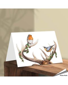 Weihnachtskarte - Mit Wildvogel-Motiven - Von Hand gezeichnet - www.allesfuervoegel.de