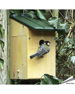Beobachtungsnistkasten aus Holz mit 34mm Einflug ✔️ Setienklappe mit Plexiglas ✔️ Geeignet für Spatzen, Kleiber und Trauerschnäpper ✔️ FSC-Holz ✔️ Bestelle bei Alles für Vögel