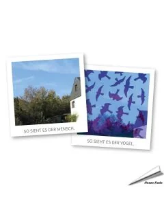 Birdsticker | Scheibenaufprall Wildvögel | Alles für Vögel