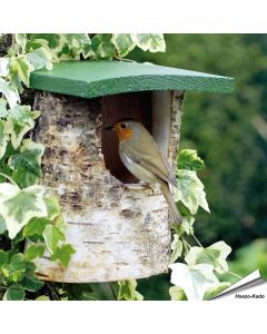 Holz-Nistkasten für Rotkehlchen online kaufen? | www.allesfuervoegel.de