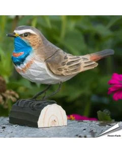 Handgeschnitztes Blaukehlchen in Naturgrösse ✔️ Mit ungiftigen Farben naturgetreu bemalt ✔️ Originelles Geschenk für Vogel- und Naturliebhaber ✔️ Kaufe online bei Alles für Vögel