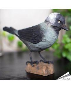 Dohle (Corvus monedula) | Handgeschnitzt | Online kaufen | Alles für Vögel