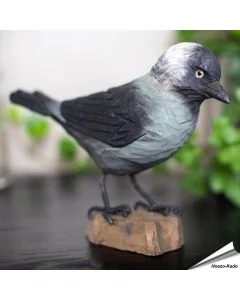 Handgeschnitzte Dohle in Naturgrösse ✔️ Mit Farben naturgetreu bemalt ✔️ Originelles Geschenk für Vogel- und Naturliebhaber ➤ www.allesfuervoegel.de