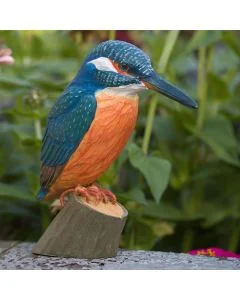 Handgeschnitzter Eisvogel in Naturgrösse ✓ Mit ungiftigen Farben naturgetreu bemalt ✓ Originelles Geschenk für Vogel- und Naturliebhaber ✓ Alles für Vögel