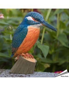 Eisvogel (Alcedo atthis) | Handgeschnitzter Holzvogel