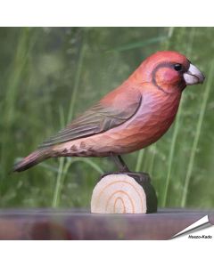 Handgeschnitzter Fichtenkreuzschnabel in Naturgrösse ✔️ Mit ungiftigen Farben naturgetreu bemalt ✔️ Originelles Geschenk für Vogel- und Naturliebhaber ✔️ Kaufe online bei Alles für Vögel