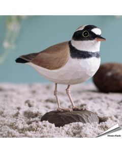 Flussregenpfeifer (Charadrius dubius) | Handgeschnitzt | Online kaufen - Alles für Vögel