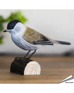 Handgeschnitzte Mönchsgrasmücke in Naturgrösse ✔️ Mit Farben naturgetreu bemalt ✔️ Originelles Geschenk für Vogel- und Naturliebhaber ➤ Bestelle bei Alles für Vögel