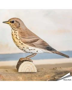 Singdrossel (Turdus philomelos) | Handgeschnitzt | Online kaufen - Alles für Vögel