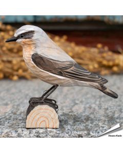 Handgeschnitzter Steinschmätzer in Naturgrösse ✔️ Mit ungiftigen Farben naturgetreu bemalt ✔️ Originelles Geschenk für Vogel- und Naturliebhaber ✔️ Kaufe online bei Alles für Vögel