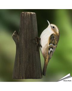 Waldbaumläufer (Certhia familiaris) | Handgeschnitzter Vogel