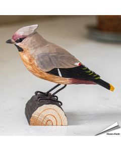 Seidenschwanz (Bombycilla garrulus) | Holzvogel | Dekoration