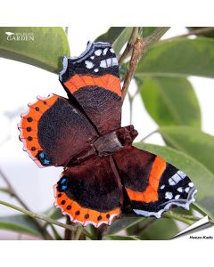 DecoButterfly Admiral von Wildlife Garden. Handgeschnitzter Holzmagnet mit dunklen Flügeln, orangefarbenen Bändern und Metalldraht.