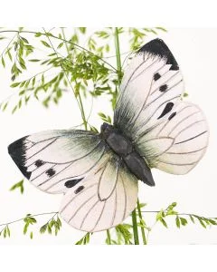 DecoButterfly Großer Kohlweißling von Wildlife Garden als Holzschmetterling zwischen feinen grünen Pflanzenzweigen, mit cremeweißen Flügeln und schwarzen Spitzen.