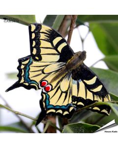 DecoButterfly Schwalbenschwanz von Wildlife Garden. Handgeschnitzter Holzmagnet mit gelb-schwarzen Flügeln, Farbakzenten und langen Hinterflügeln.