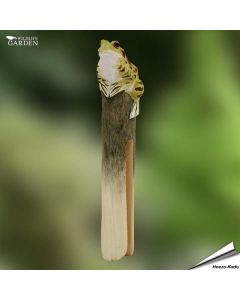 Wäscheklammer Frosch