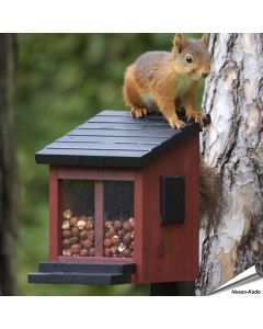 Eichhörnchen Futterbox (rot) von Wildlife Garden. Holz-Futterhaus für Nüsse, Samen und Eichhörnchenfutter mit Sichtfenstern und praktischem Klappdeckel.
