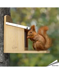 Futterhaus für Eichhörnchen XL ✔️ Nachhaltiges Kiefernholz, verschraubte Konstruktion ✔️ Verkürzte Plexiglas-Scheibe ✔️ Metall-Dach ➤ Bestelle bei Alles für Vögel