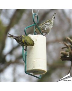Energiekuchen mit getrockneten Insekten ✓ Kalorien- und proteinreiches Wildvogelfutter ✓ Reich an essentiellen Fetten ✓ Vogelfutter von Alles für Vögel