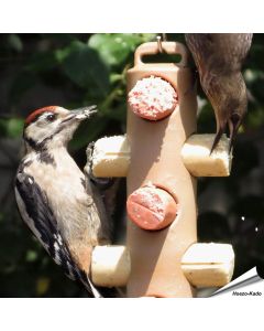 Energierollenpaket - Energierollen und Futterspender ➤ Jetzt bestellen im Alles für Vögel Shop