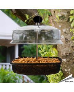 Hängender Mehlwurm-Futterspender für Wildvögel ✔️ Robuste Metallkonstruktion ✔️ Stabiles, engmaschiges Drahtgeflecht ✔️ Regenkuppel ➤ Kaufe online bei Alles für Vögel