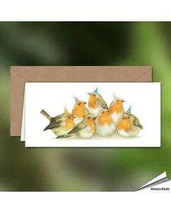 Geburtstagskarte - Mit Rotkehlchen-Motiv - Von Hand gezeichnet - www.allesfuervoegel.de