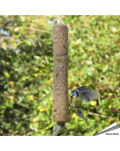 Energiereiche Futterrolle für Wildvögel ✔️ Mit proteinreichen Garnelen ✔️ Direkt verfüttern mit integriertem Tau ✔️ Ganzjährig Vögel füttern ➤ Bestelle Futter online bei Alles für Vögel