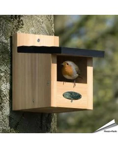 Halboffener Nistkasten aus FSC-Holz ✔️ Ideal für Rotkehlchen, Zaunkönig & Bachstelze ✔️ Empfohlen von Vogelbescherming ➤ Alles für Vögel Shop