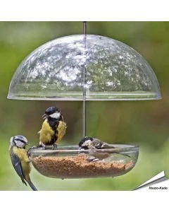I love Robins - Hängendes Futterhaus