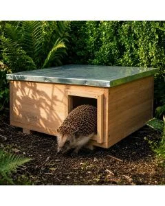 Igelhaus XL von Wildlife Home aus Holz mit Metalldach, zwischen grünen Gartenpflanzen aufgestellt, während ein Igel aus dem Eingang herausläuft.