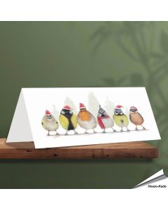 Weihnachtskarte mit verschiedenen Singvögel - Von Hand gezeichnet - www.allesfuervoegel.de
