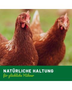 Hühner Vitamine - Flüssigformel für Geflügel (250ml)