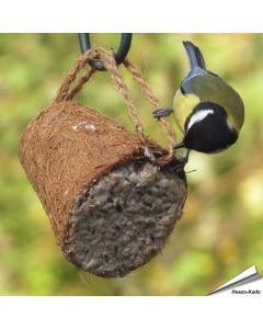 Fett-Futterglocke für Wildvögel | Kokosfasern | Vogelfutter