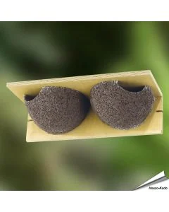 Doppelte Nisthilfe für Mehlschwalben aus Holz / Holzbeton ✔️ Schalenförmig - einfache Montage an Fassaden ✔️ Empfohlen von u.a. NABU und LBV ✔️ Online kaufen bei Alles für Vögel