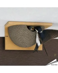 Nisthilfe für Mehlschwalben aus Holz / Holzbeton ✔️ Schalenförmig - einfache Montage an Fassaden ✔️ Empfohlen von u.a. NABU und LBV ✔️ Online kaufen bei Alles für Vögel