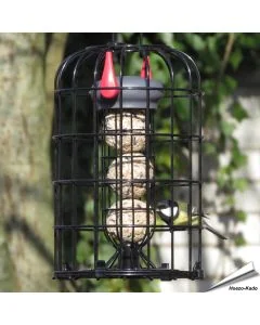 LokTop® - Meisenknödelhalter mit Schutzkorb