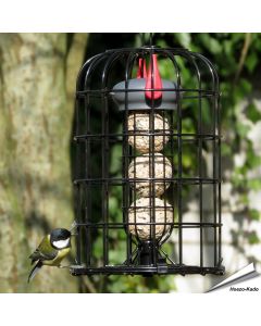 Meisenknödelhalter mit Schutzkorb & Premium - Insektenfettknödel (8 x 90g)