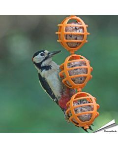Robuster, dreifacher Meisenknödelspender für Wildvögel ✔️ Einfach zu befüllen & aufzuhängen ✔️ Für Meisenknödel ohne Netz ➤ Alles für Vögel Webshop