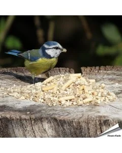 Hochwertiges, unkrautfreies Wildvogelfutter speziell für kleine Vogelarten ✔️ Mit Sonnenblumenkernen, Erdnüssen und Insekten-Leckerbissen ✔️ Energie- und proteinreichen ➤ Bestelle bei Alles für Vögel