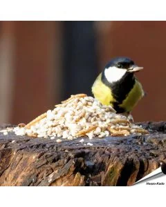 Hochwertiges Aniculis-Wildvogelfutter speziell für kleine Vogelarten ✔️ Mit Sonnenblumenkernen, Erdnüssen und getrockneten Mehlwürmern ✔️ Energie- und proteinreichen ➤ Bestelle bei Alles für Vögel