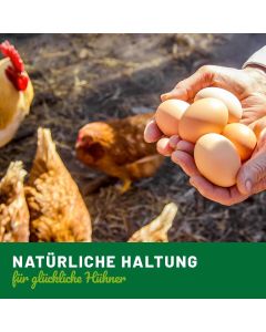 HÜHNER Land MoroVet für Hühner & Geflügel (500g)