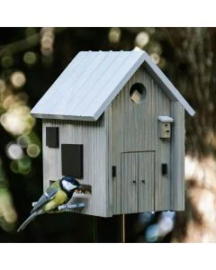 Kohlmeise an der Futteröffnung des Multiholk Modern Nordic von Wildlife Garden, einem grauen Vogelhaus mit hellem Satteldach auf einem Pfosten im Garten.