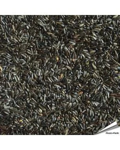 Nigersamen (1 kg)