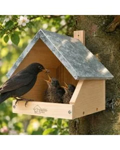 Nistkasten für Amseln aus Naturholz mit Zinkdach. Halboffene Nisthilfe mit Bodenbelüftung und praktischer Aufhängung. Jetzt entdecken!