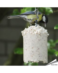 Energiekuchen für Wildvögel - Original ➤ Jetzt online kaufen bei Alles für Vögel