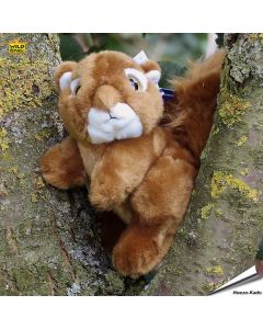 Plüsch - Eichhörnchen (Wild Watchers)